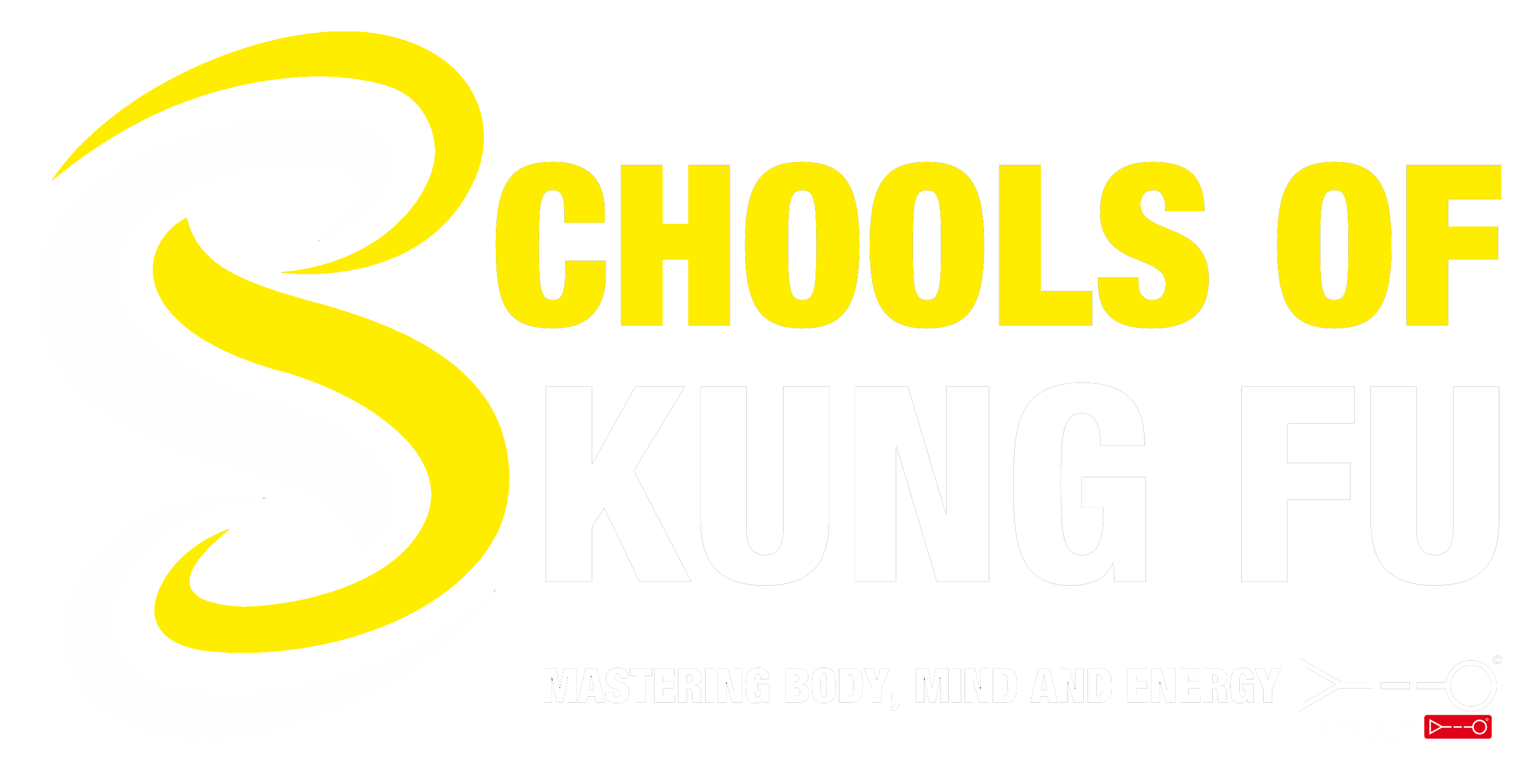 Martial Arts classes for Kids and Adults, Wing Chun Kung-fu, Self Defence &amp; Martial Arts Croydon, South London | Schools of Kung Fu